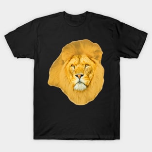 Magnificent Lion T-Shirt